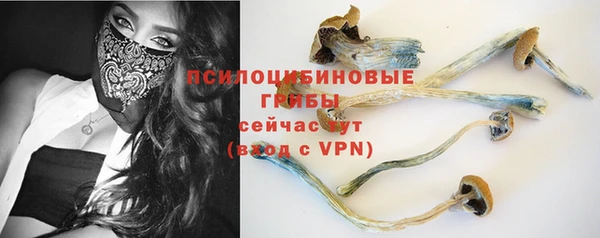 mdpv Белокуриха