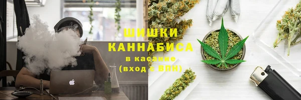 PSILOCYBIN Балабаново