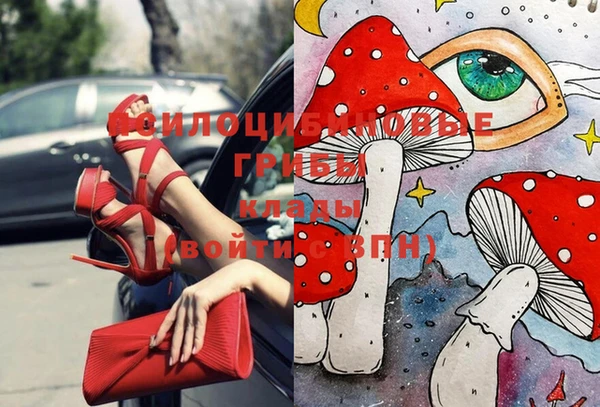 спайс Баксан