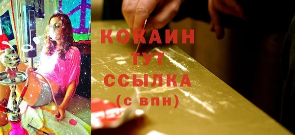mdpv Белокуриха