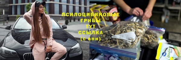 спайс Баксан