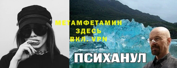 PSILOCYBIN Балабаново